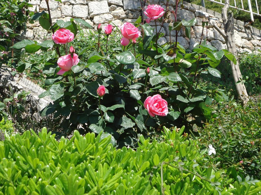 Peric Rooms Dubrovnik Bagian luar foto