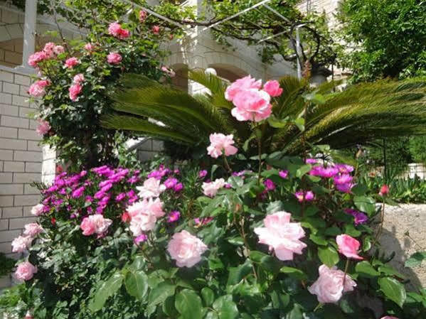 Peric Rooms Dubrovnik Bagian luar foto